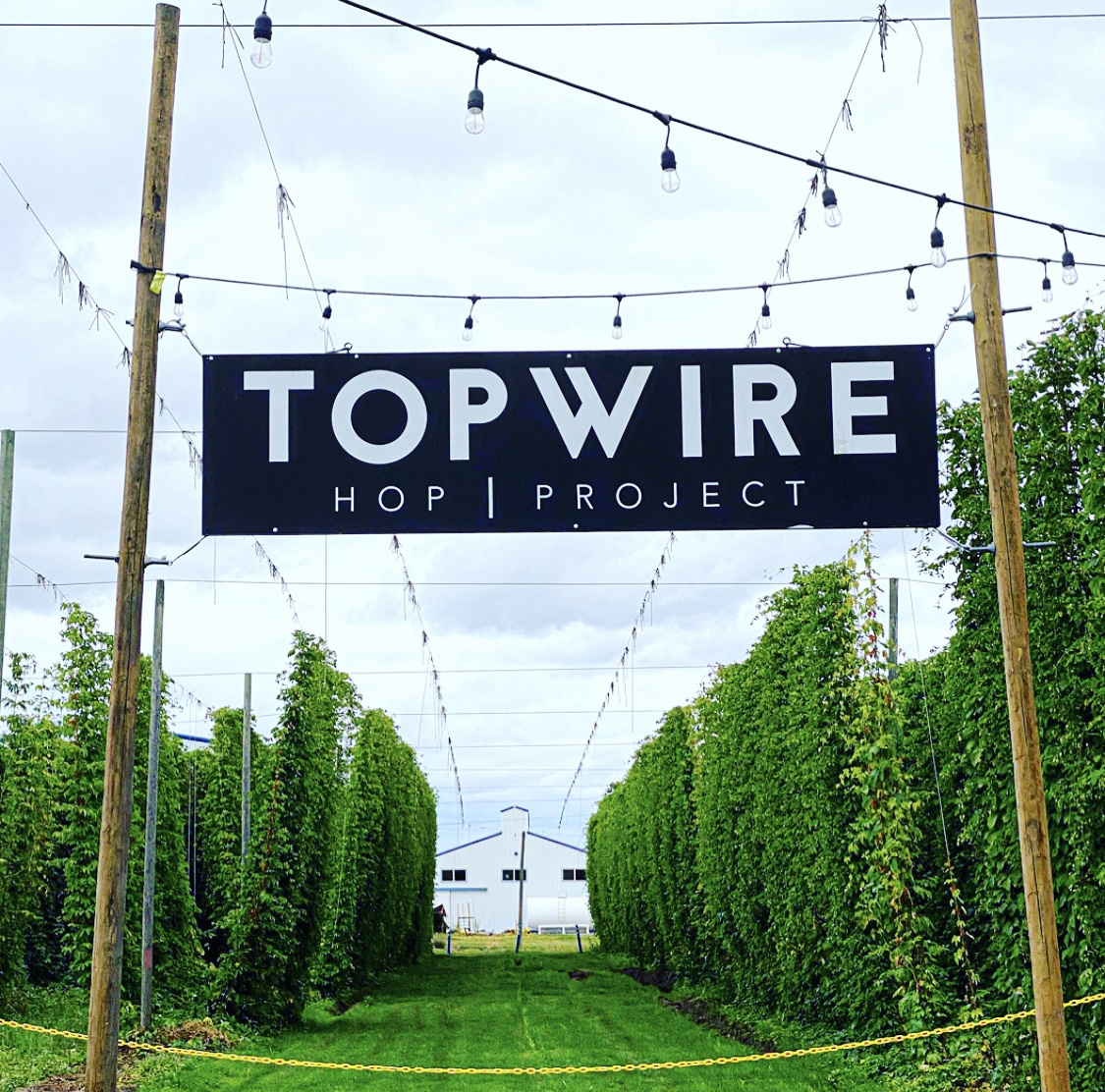 Jenna Steward TopWire Hop Project / Cosby Hops – Craft Beer Podcast Episode 121 by Steven Shomler 